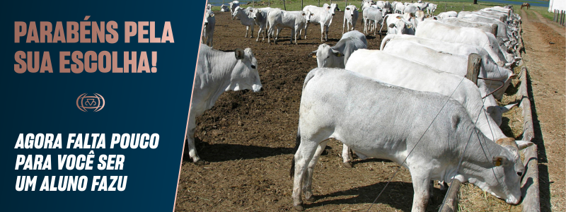 Banner - Pós em Nutrição e Alimentação de Ruminantes
