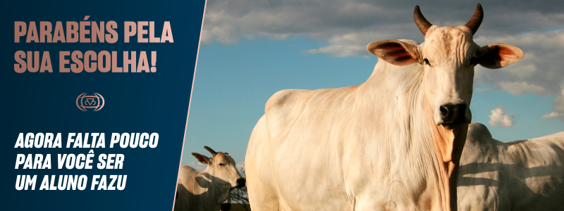 Banner - Pós em Sanidade Animal em Bovinos