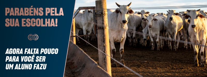 Banner - Pós em Confinamento de Bovinos de Corte