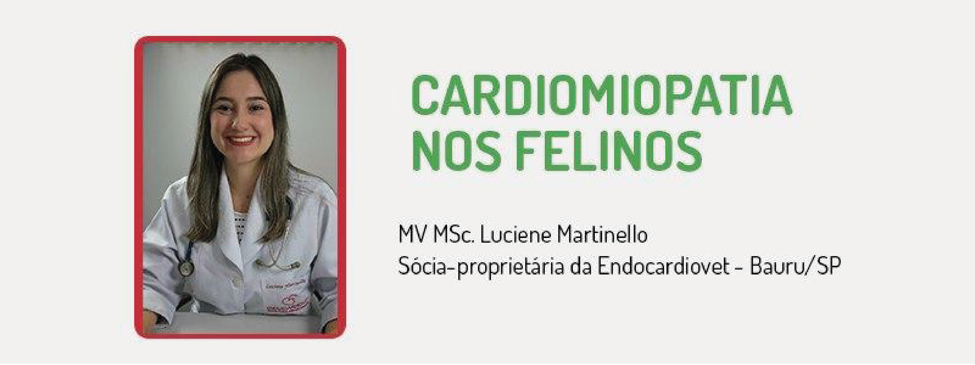Banner - Webinar - Cardiomiopatias nos Felinos