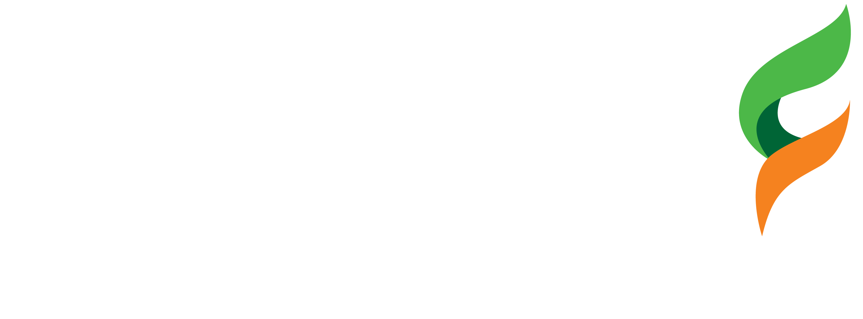 Logo - Facholi Sementes e Nutrição
