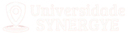 Logo - Synergye Tecnologia da Informação LTDA