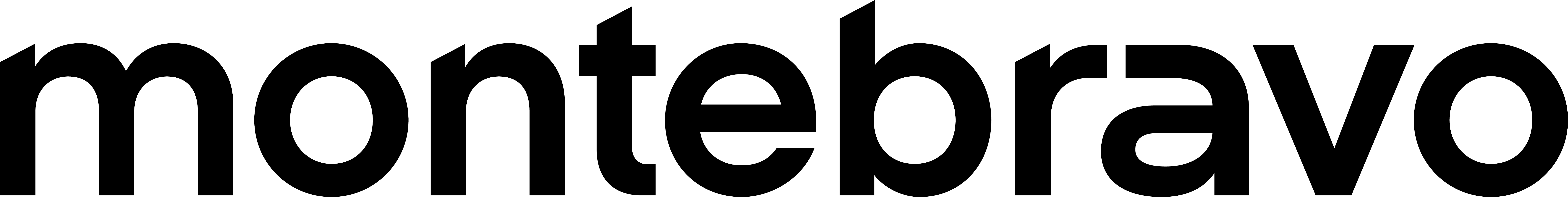 Logo - Monte Bravo