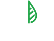 Logo - Clam