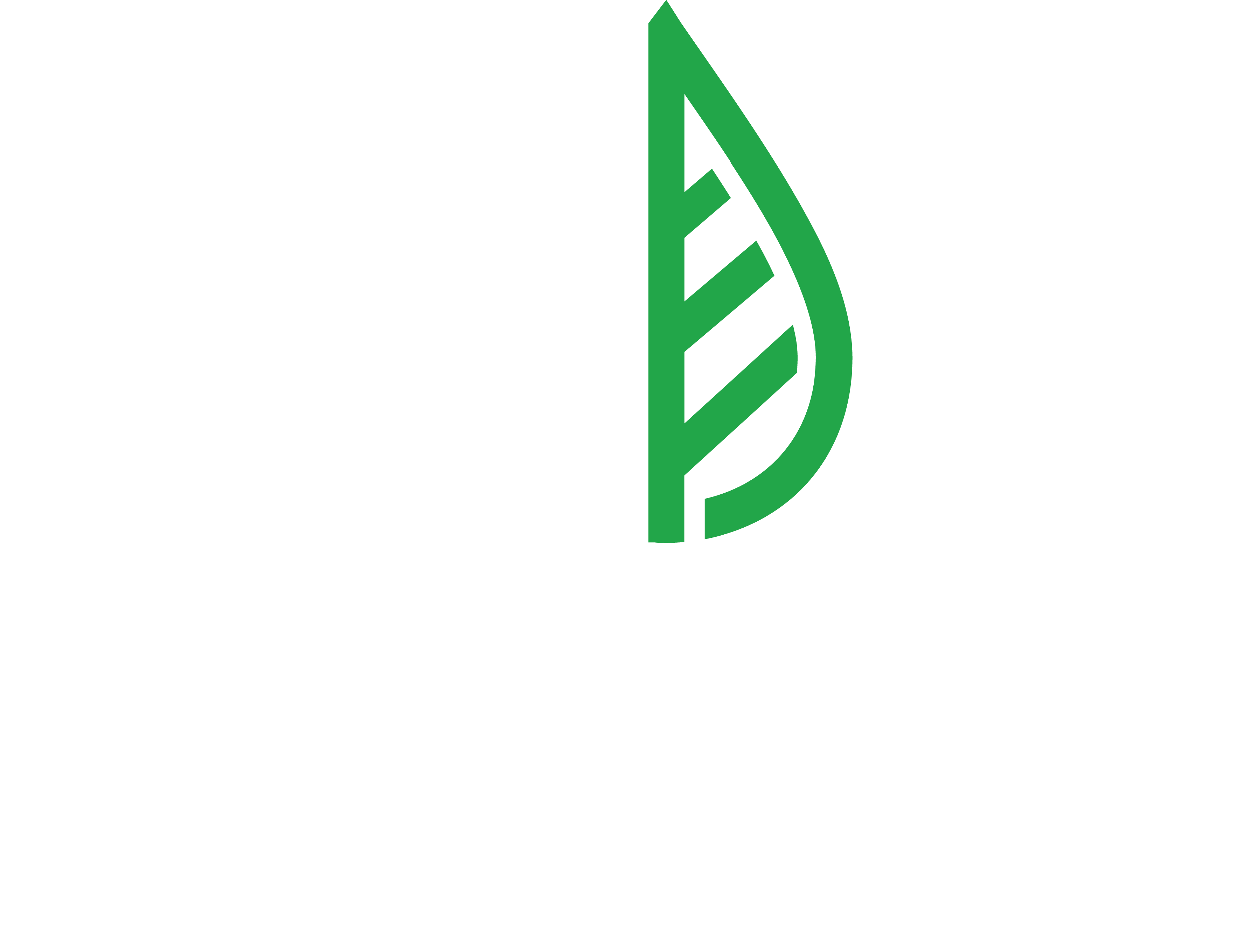 Logo - Clam