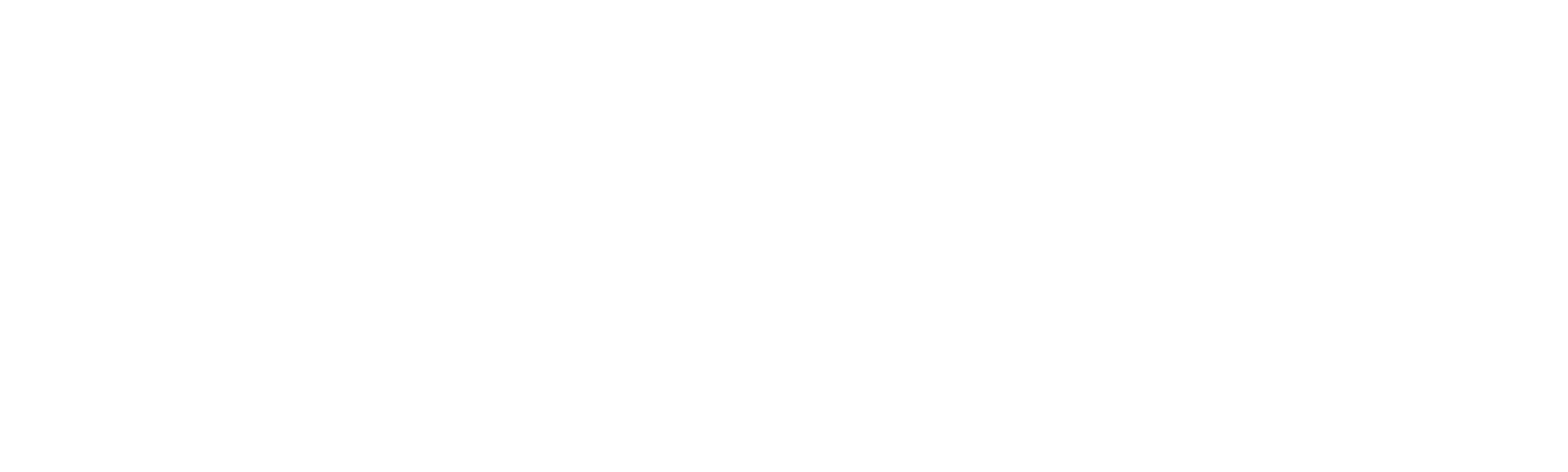 Logo - Netafim