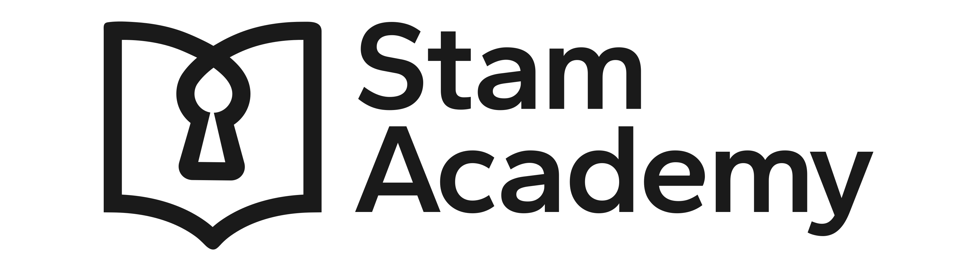 Logo - STAM