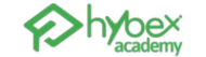 Logo - Treinamentos - Hybex Academy