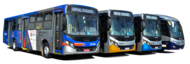 Logo - Viação Cidade Caieiras
