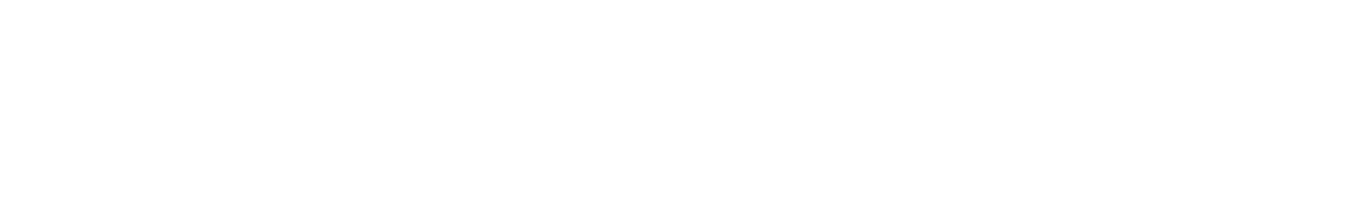 Logo - Baumer Academy